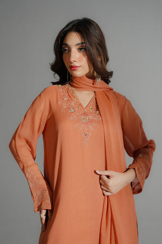 3 Piece Chiffon Embroidered Suit (FS0190)