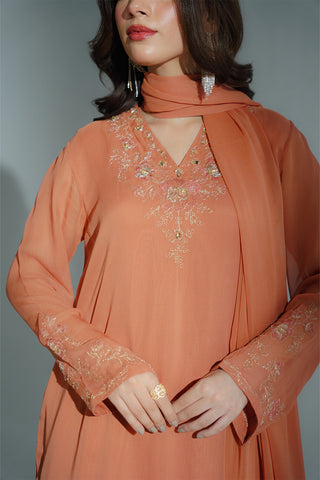3 Piece Chiffon Embroidered Suit (FS0190)