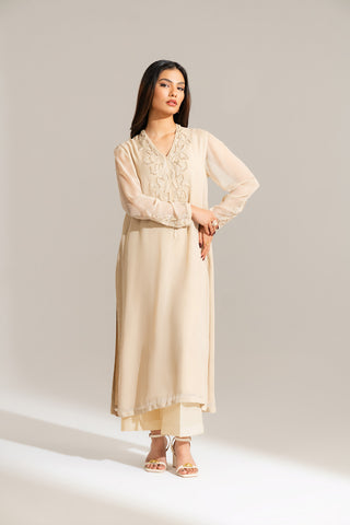 2 Piece Chiffon Embroidered Suit (FL0136)