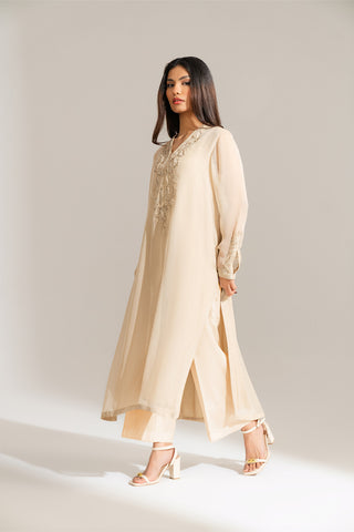 2 Piece Chiffon Embroidered Suit (FL0136)