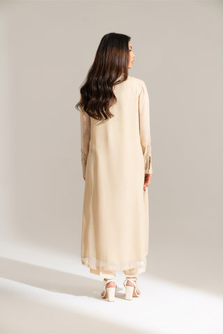 2 Piece Chiffon Embroidered Suit (FL0136)