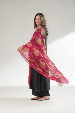 1 Piece Chiffon Printed Stole (CO0043)
