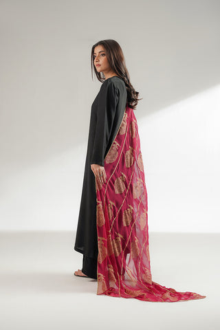 1 Piece Chiffon Printed Stole (CO0043)