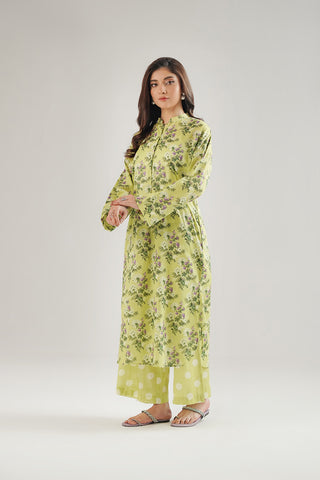 2 Piece Printed Lawn Printed Suit (CP0470)