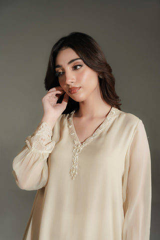 1 Piece Chiffon Embroidered Shirt (FS0207)