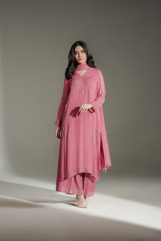 3 Piece Chiffon Embroidered Suit (FL0233)