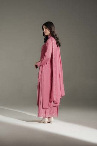 3 Piece Chiffon Embroidered Suit (FL0233)