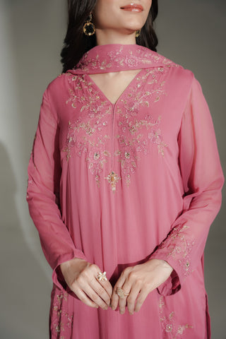 3 Piece Chiffon Embroidered Suit (FL0233)