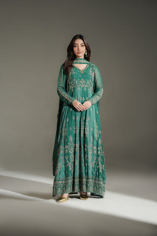 2 Piece Chiffon Embroidered Suit (FW0039)