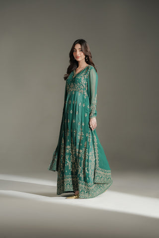 2 Piece Chiffon Embroidered Suit (FW0039)