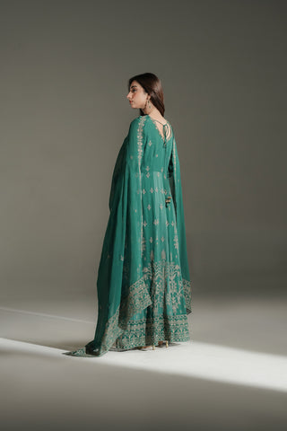 2 Piece Chiffon Embroidered Suit (FW0039)