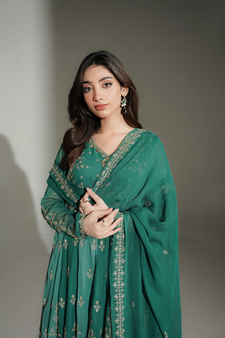 2 Piece Chiffon Embroidered Suit (FW0039)