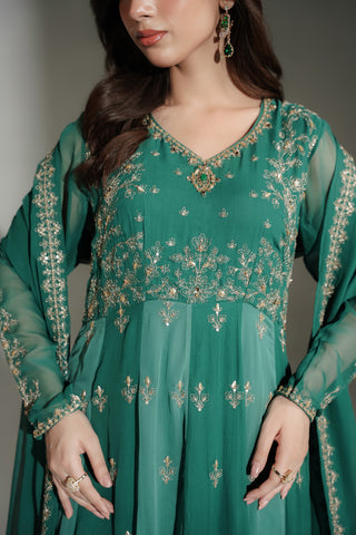 2 Piece Chiffon Embroidered Suit (FW0039)