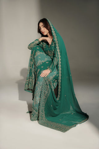 2 Piece Chiffon Embroidered Suit (FW0039)