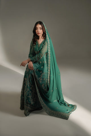 2 Piece Chiffon Embroidered Suit (FW0039)