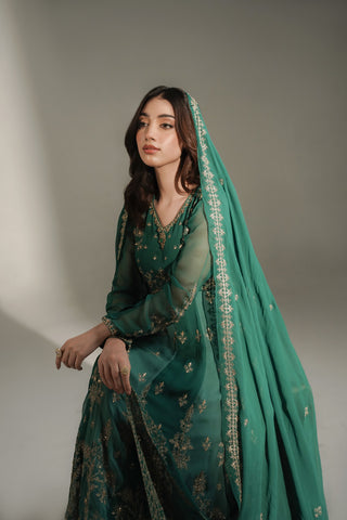 2 Piece Chiffon Embroidered Suit (FW0039)