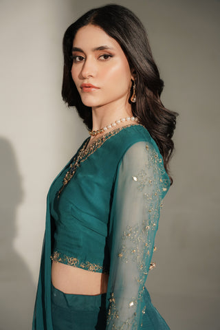 2 Piece Chiffon Embroidered Saree Lehnga/Blouse (FW0028)