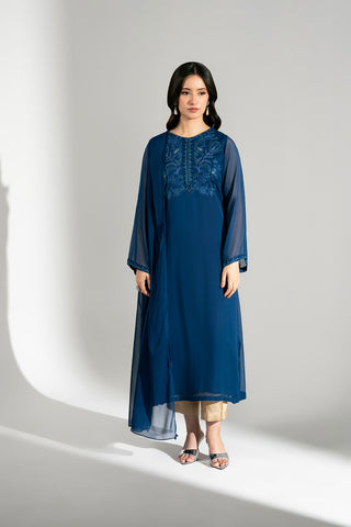 2 Piece Chiffon Embroidered Suit (FS0180)