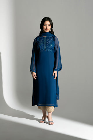 2 Piece Chiffon Embroidered Suit (FS0180)