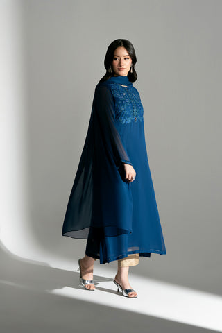 2 Piece Chiffon Embroidered Suit (FS0180)
