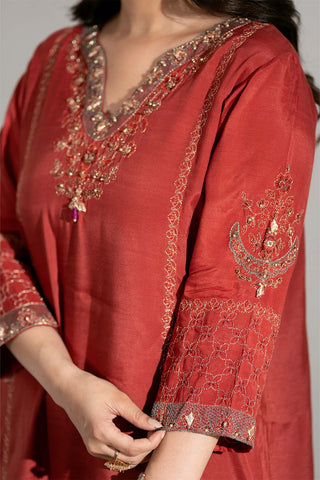 2 Piece Raw Silk Embroidered Suit (FL0201)