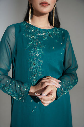 2 Piece Chiffon Embroidered Suit (FS0166)
