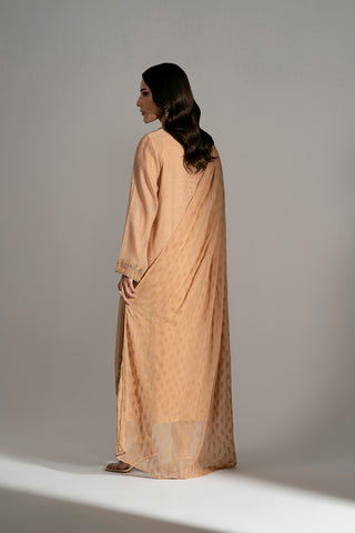 3 Piece Khadi Net Embroidered Suit (FL0196)