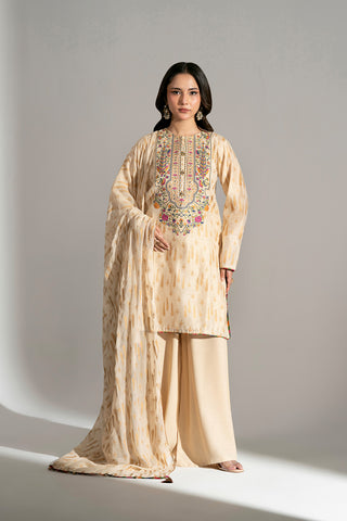 3 Piece Viscose Net Embroidered Suit (FS0186)