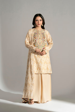 3 Piece Viscose Net Embroidered Suit (FS0186)