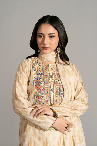 3 Piece Viscose Net Embroidered Suit (FS0186)