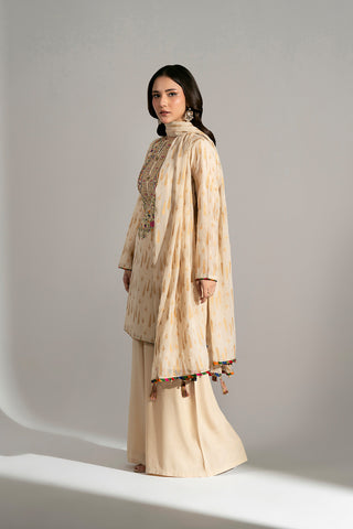 3 Piece Viscose Net Embroidered Suit (FS0186)