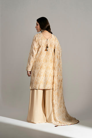3 Piece Viscose Net Embroidered Suit (FS0186)