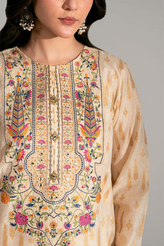 3 Piece Viscose Net Embroidered Suit (FS0186)