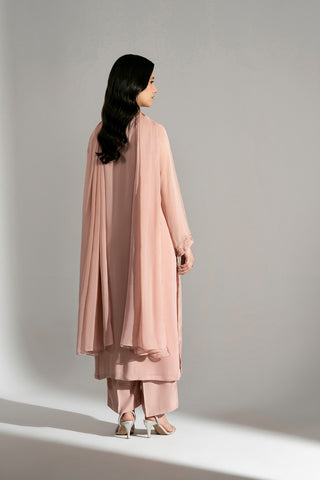3 Piece Chiffon Embroidered Suit (FL0200)