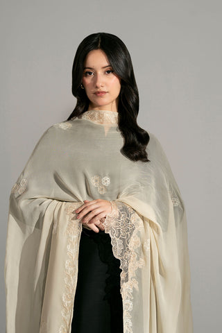 1 Piece Chiffon Embroidered Dupatta (FD0122)
