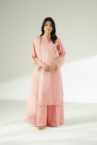3 Piece Cotton Dobby Embroidered Suit (CS0644)