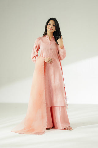 3 Piece Cotton Dobby Embroidered Suit (CS0644)