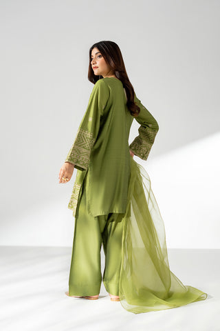 3 Piece Cotton Silk Embroidered Suit (CS0660)