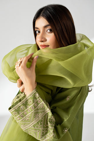 3 Piece Cotton Silk Embroidered Suit (CS0660)
