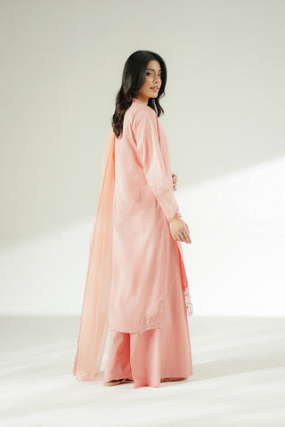 3 Piece Cotton Dobby Embroidered Suit (CS0644)