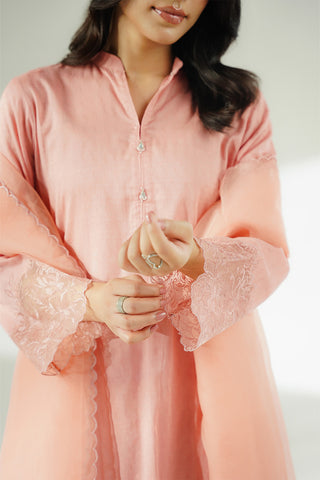 3 Piece Cotton Dobby Embroidered Suit (CS0644)