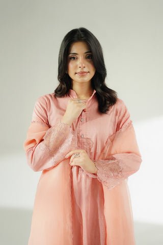 3 Piece Cotton Dobby Embroidered Suit (CS0644)