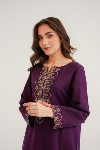 2 Piece Cotton Karandi Embroidered Suit (CP0302)