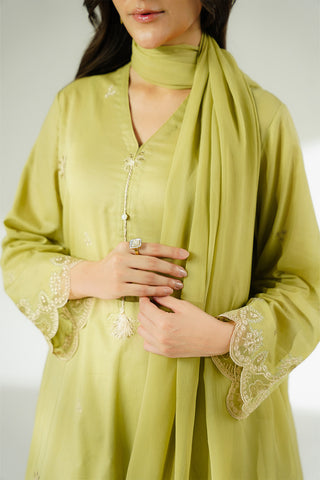3 Piece Lawn Embroidered Suit (CS0641)
