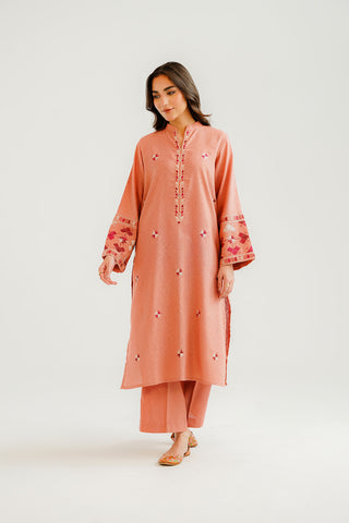2 Piece Cotton Karandi Embroidered Suit (CP0300)