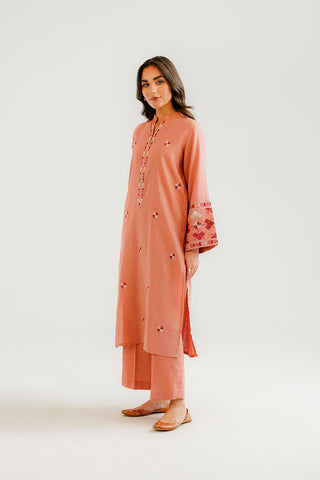 2 Piece Cotton Karandi Embroidered Suit (CP0300)