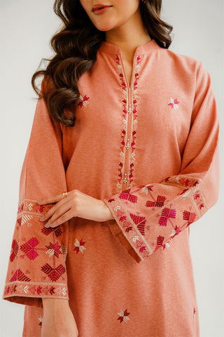 2 Piece Cotton Karandi Embroidered Suit (CP0300)