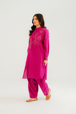 2 Piece Cotton Karandi Embroidered Suit (CP0314)