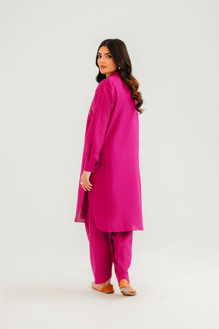 2 Piece Cotton Karandi Embroidered Suit (CP0314)