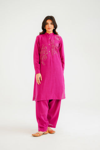 2 Piece Cotton Karandi Embroidered Suit (CP0314)